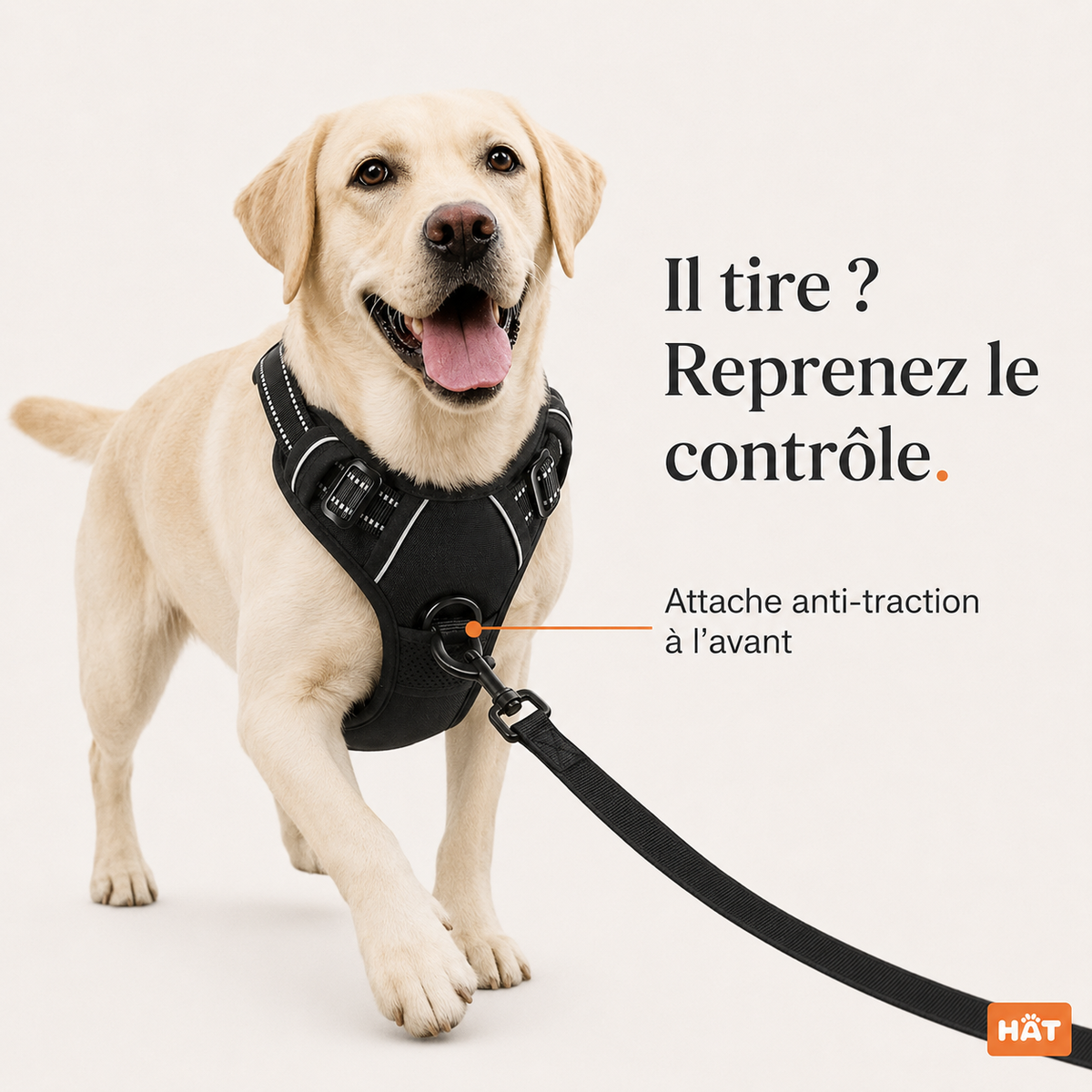 Harnais anti-traction pour chien à clip frontal