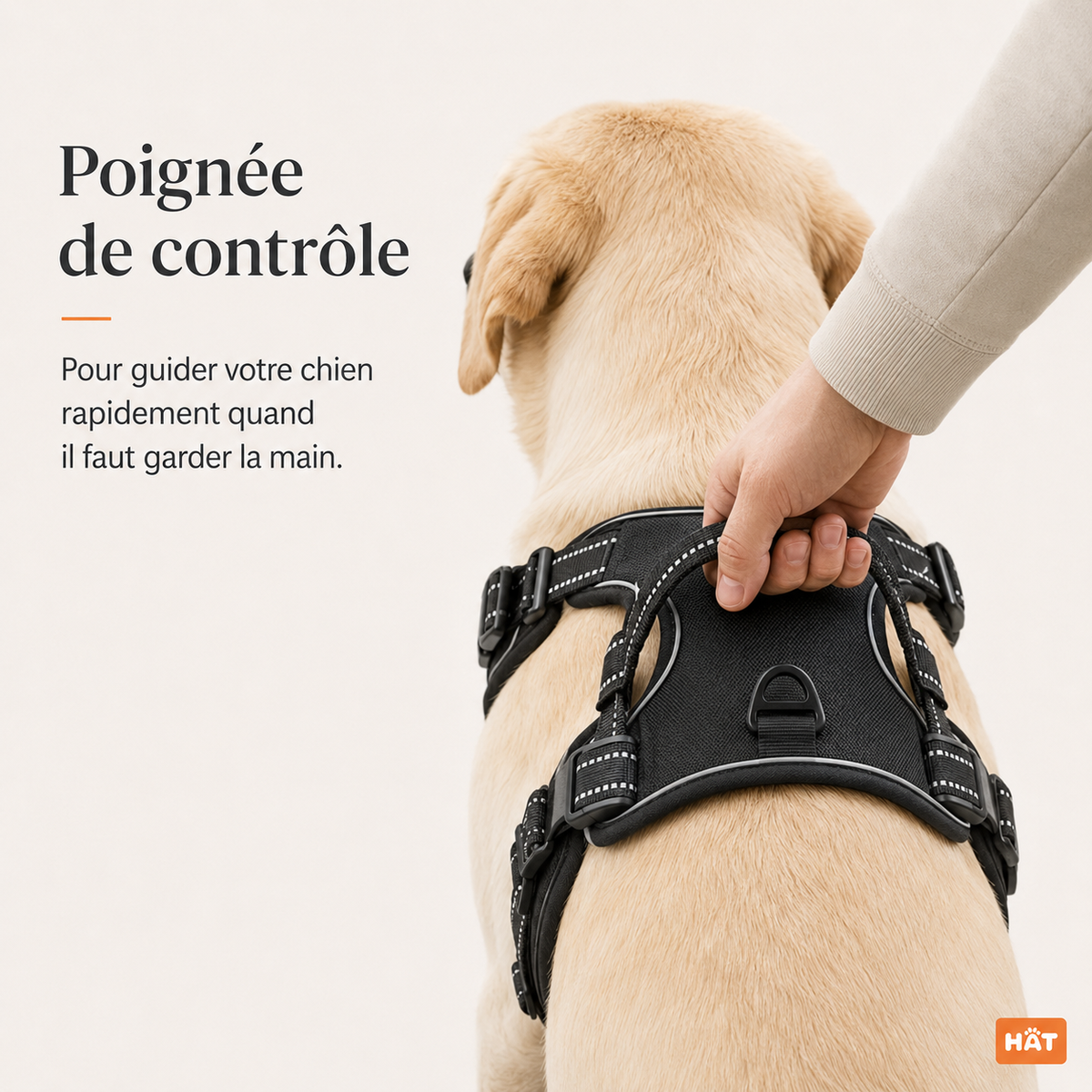Harnais anti-traction pour chien à clip frontal