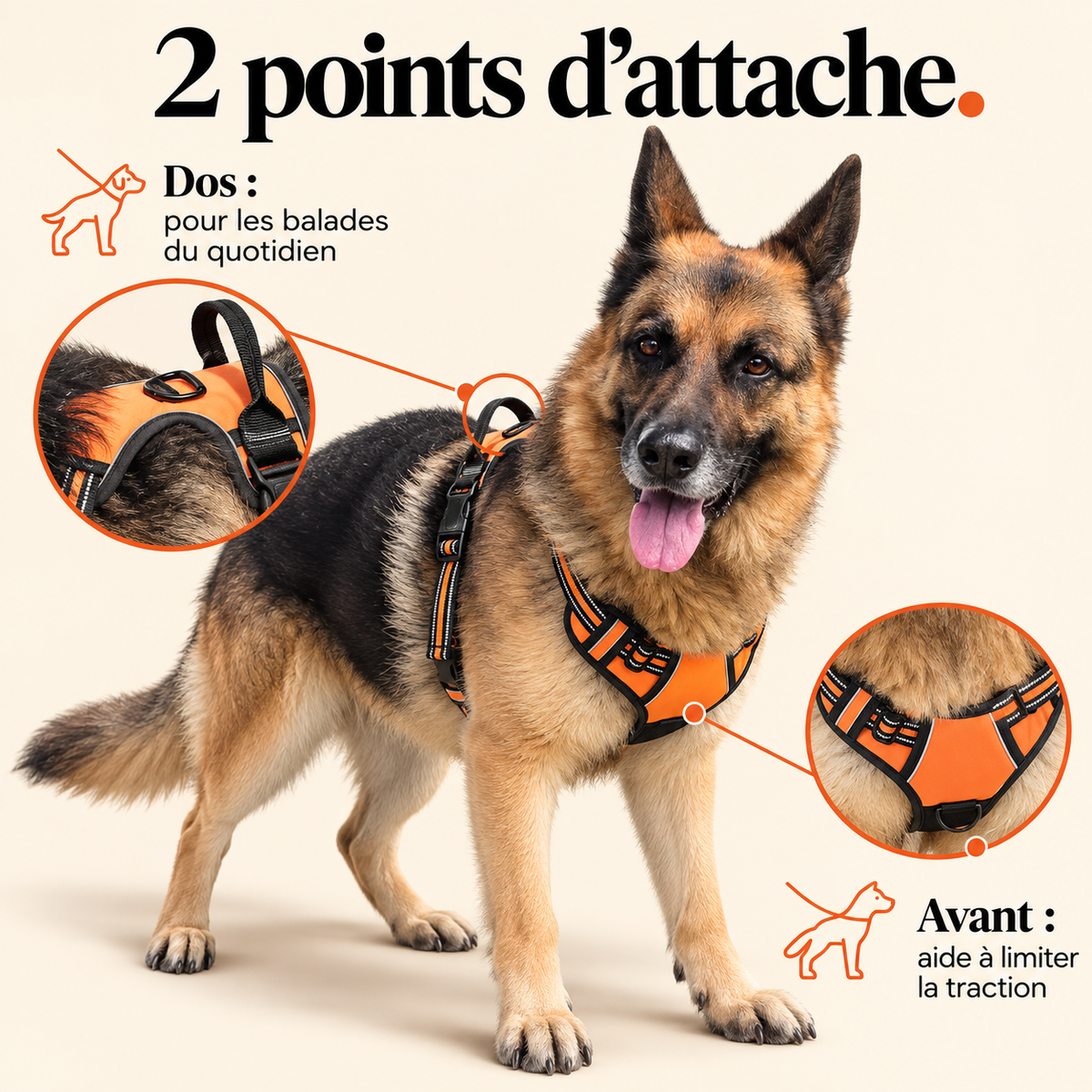 Harnais anti-traction pour chien à clip frontal
