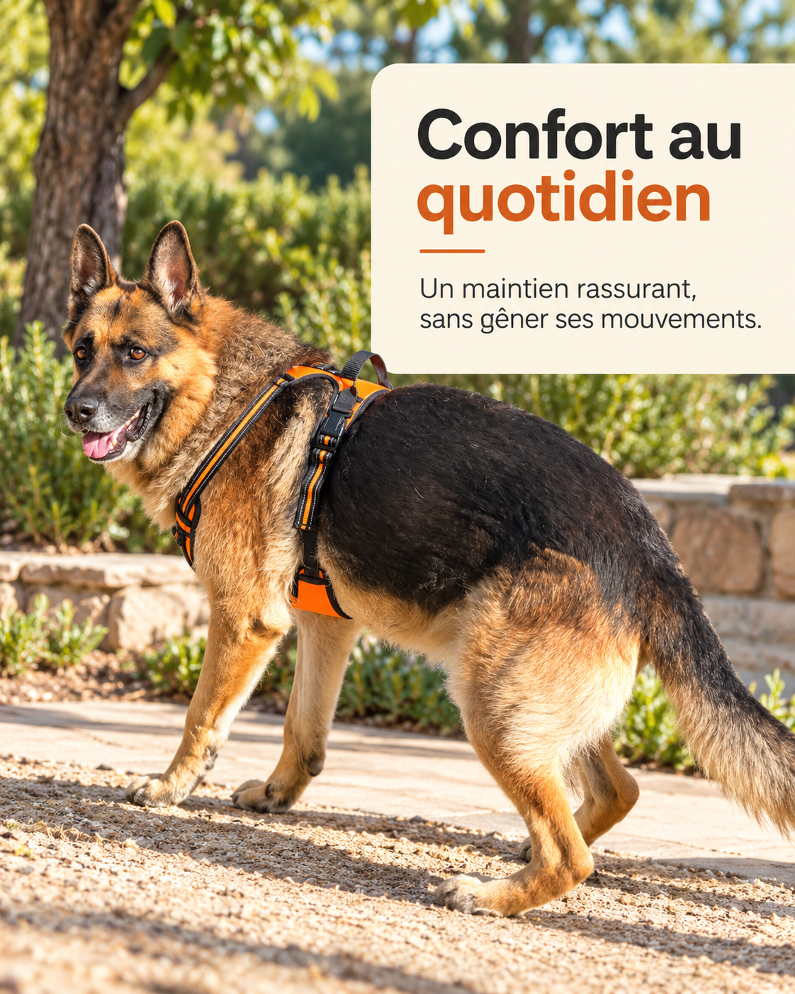 Harnais anti-traction pour chien à clip frontal