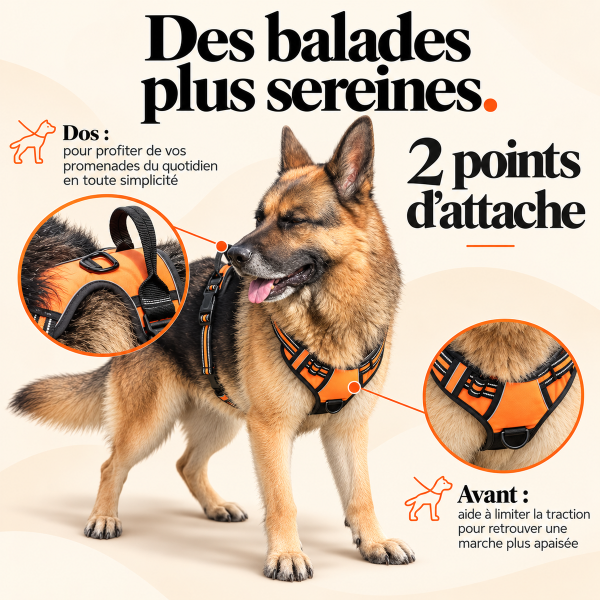 Harnais anti-traction pour chien à clip frontal