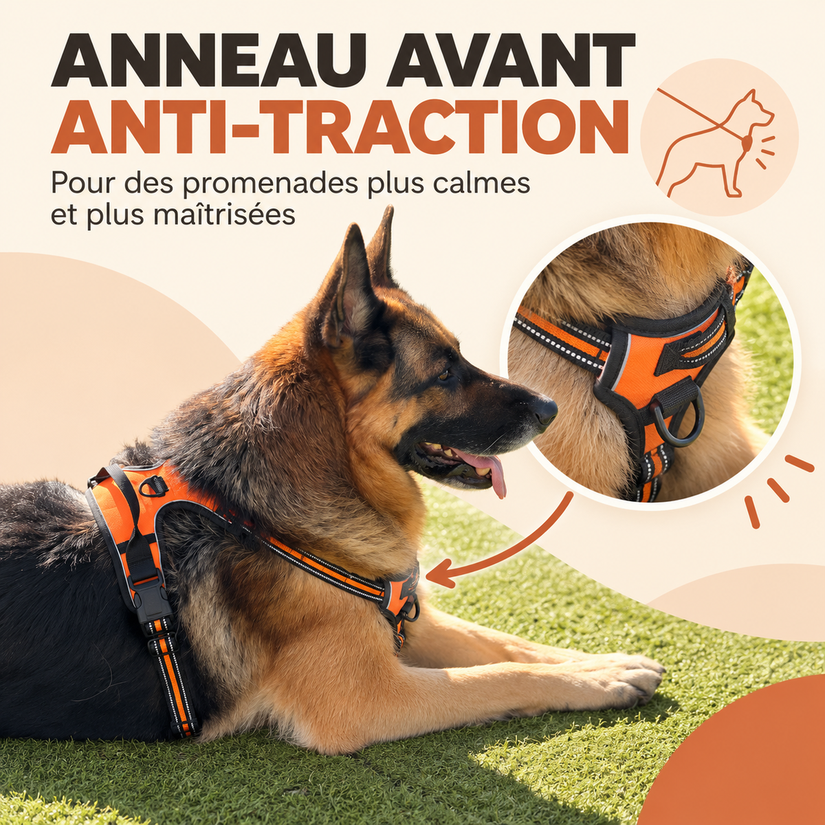 Harnais anti-traction pour chien à clip frontal